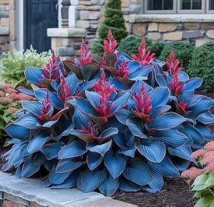 Хоста Грин Фог купить по цене от 669р. в интернет-магазине «Посадика» с доставкой почтой в в Дивногорске и по всей России – [изображение №1].