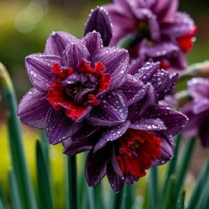 Нарцисс Минт Флер купить по цене от 2000р. в интернет-магазине «Посадика» с доставкой почтой в в Дивногорске и по всей России – [изображение №1].