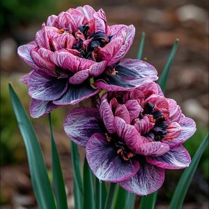 Нарцисс Моргатн Мотив купить по цене от 2000р. в интернет-магазине «Посадика» с доставкой почтой в в Дивногорске и по всей России – [изображение №1].