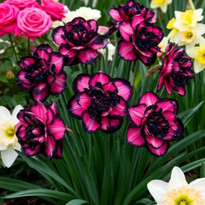 Нарцисс Золотая Корона купить по цене от 2000р. в интернет-магазине «Посадика» с доставкой почтой в в Дивногорске и по всей России – [изображение №1].