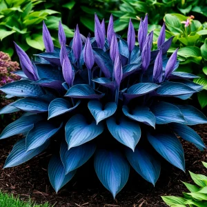 Хоста Сикрет Гров купить по цене от 570р. в интернет-магазине «Посадика» с доставкой почтой в в Дивногорске и по всей России – [изображение №1].