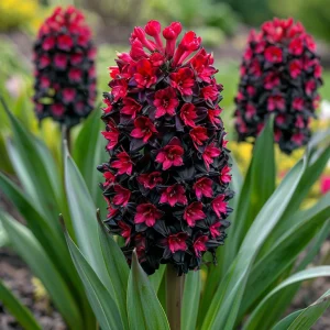 Гиацинт Джем Стоун купить по цене от 2099р. в интернет-магазине «Посадика» с доставкой почтой в в Дивногорске и по всей России – [изображение №1].