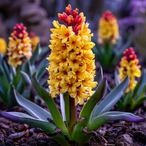 Гиацинт Миднайт Мистери купить по цене от 2099р. в интернет-магазине «Посадика» с доставкой почтой в в Дивногорске и по всей России – [изображение №1].