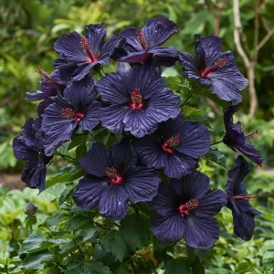 Гибискус Мэджик Момент купить по цене от 699р. в интернет-магазине «Посадика» с доставкой почтой в в Дивногорске и по всей России – [изображение №1].